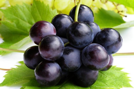 Top 5 loại trái cây giàu chất chống oxy hóa
