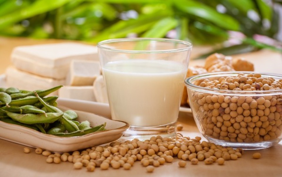 Những tác dụng tuyệt vời của sữa đậu nành với sức khỏe và nhan sắc